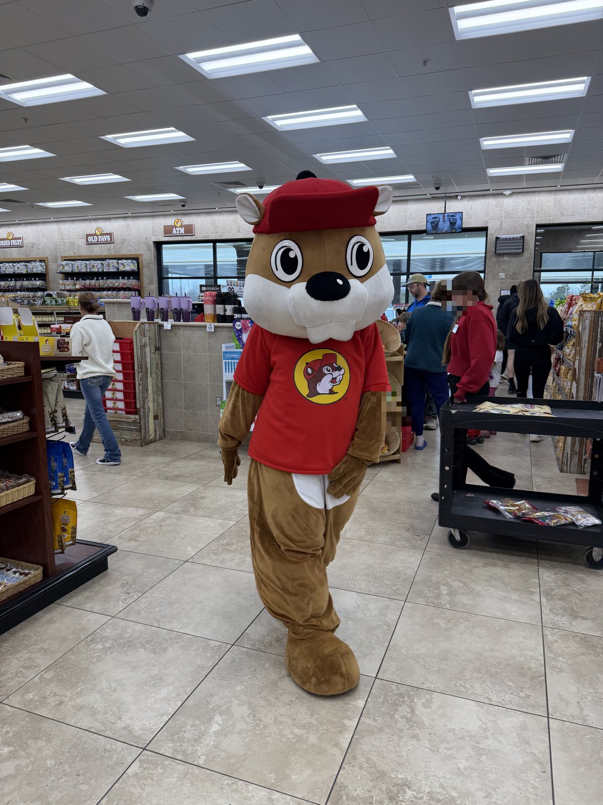 The Buc-ee's mascot walking the store floor